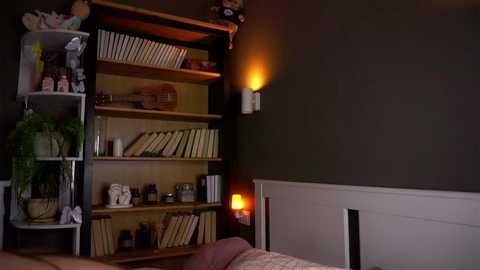 Video of a cozy bedroom with dark green walls, wooden bookshelves filled with books, a small potted plant, and a warm, yellow-lit wall sconce.
