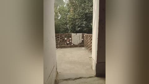 Video of a narrow, beige-walled courtyard with a rectangular, brown-brick wall in the background, adorned with a white cloth and a few red objects. Dense green foliage fills the background.