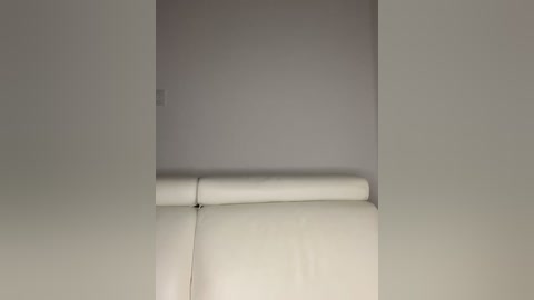 Video of a minimalist white leather sofa with a smooth, sleek texture, set against a plain white wall, creating a clean, modern, and understated interior design aesthetic.