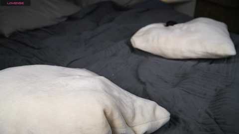 Media: Video of a bed with a white pillow and a black pillow, both resting on a dark gray quilted comforter. The pillows are slightly overlapping, creating a cozy, intimate setting.