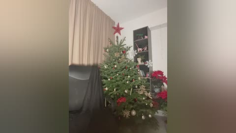 Video of a cozy living room with a decorated Christmas tree adorned with red and white ornaments, a red star on top, and a beige curtain. A black TV and a bookshelf with books and holiday decorations are visible.