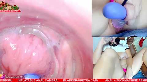 Video featuring close-up, explicit sexual content depicting anal penetration with a blue vibrator. The image includes text overlays and watermark.