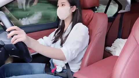 A video of a young woman with long black hair and fair skin wearing a white blouse and face mask, driving a red car with a beige interior, focusing on the road.