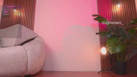Video of a cozy room with a beige bean bag, vertical wooden blinds, a potted plant, and two warm-toned lamps casting soft light on a pastel-pink wall.