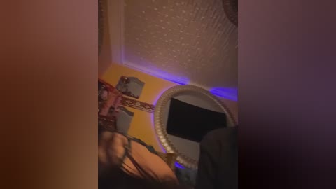 Video of a dimly-lit room with a woman in a black strapless bra, wearing a sheer black top, standing near a large mirror, with purple and white lighting.