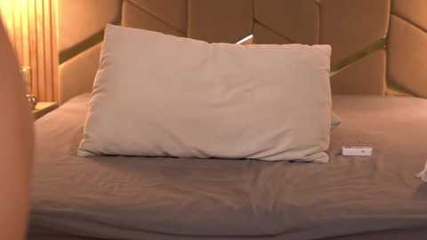 Video of a plush, beige pillow on a neatly made bed with a tufted headboard in a warm, golden-toned bedroom.