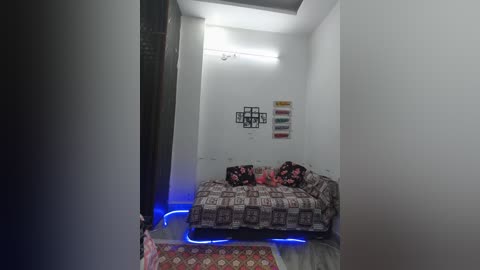 Video of a narrow, dimly-lit room with white walls, featuring a brown-patterned sofa adorned with floral cushions, a metal wall art, and blue LED strip lights under the sofa.