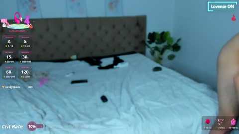 Video of a messy bedroom with a tufted brown headboard, a white bed with scattered clothes, and a pink plant in the corner.