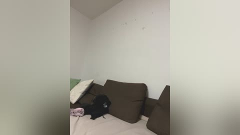 A video of a black cat curled up on a beige couch, surrounded by brown and white pillows. The background features plain white walls and a faint ceiling corner, giving the room a minimalistic, cozy feel.