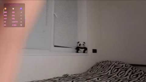 A video depicts a zebra-patterned bed with a small black-and-white panda plush toy sitting on a windowsill. The room has white walls and a partially open white shutter. The image appears to be taken with a flash, causing a pinkish hue on the left.