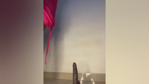 boneca25 free recording from 2025-12-15 02:45:00