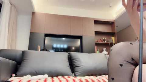 Video of a modern living room with a gray sectional sofa, wooden built-in shelving, and a flat-screen TV. The background includes a colorful bookshelf and soft lighting.