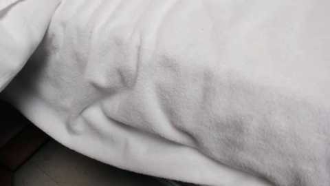 jannemary free recording from 2025-12-15 02:45:00