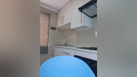 A video of a modern, compact kitchen featuring white cabinets, stainless steel appliances, and a blue chair in the foreground. The room is well-lit with natural light streaming in from a window with horizontal blinds.