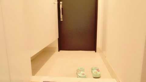 Video of a narrow, beige hallway with a dark brown door at the end. Two colorful, cartoon-themed slippers are placed neatly at the hallway's entrance.