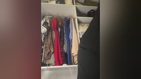 Video of a cluttered, white shelving unit filled with colorful clothing, including leopard print, red, blue, and patterned garments, against a dimly lit background.