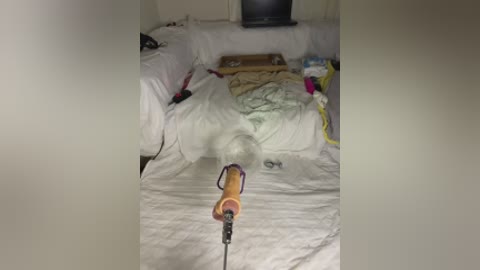 ozge_sluttyscream69 free recording from 2025-12-15 02:45:00