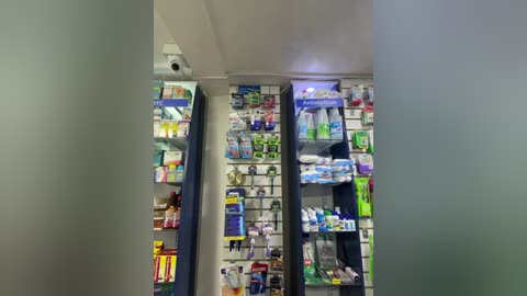 roouse free recording from 2025-12-15 02:45:00