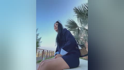 Video of a woman with long black hair, wearing a navy dress and blue shirt, sitting on a balcony overlooking a palm tree and a sunset sky.