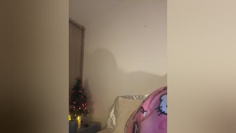 Media: A video of a dimly lit, cozy bedroom corner with beige walls, a small Christmas tree with red and green decorations, a bed with a pink and black patterned blanket, and a wooden door frame.