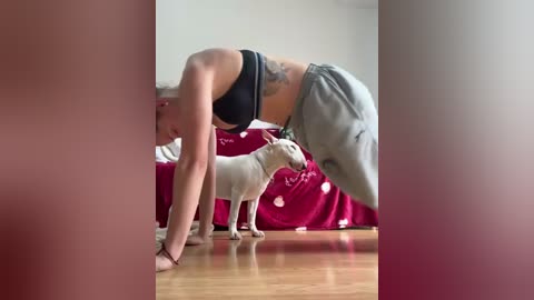 Video of a woman in black sports bra and gray sweatpants, doing a downward dog yoga pose, with a small dog in a red blanket in the background.