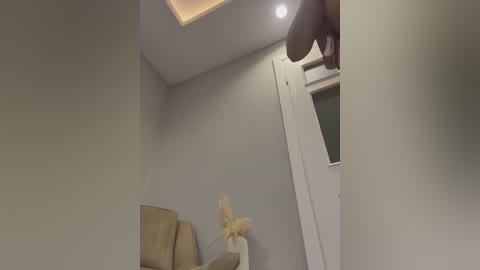 Video of a beige sofa with a light bulb above, a beige cushion, and a white door, featuring a partially visible hand and a small, dried floral arrangement.