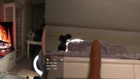 Video of a dimly lit bedroom with a cozy fireplace, a fluffy dog, and a man in a white T-shirt, standing beside a large brown dildo.