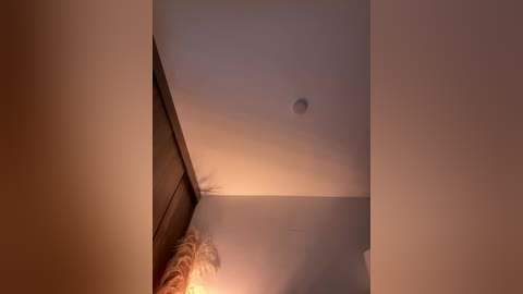 A video of a dimly lit room with a single, faintly glowing, spherical object in the center of the ceiling. The walls are a soft, neutral beige, and a wooden frame is visible at the bottom left.