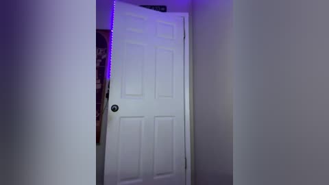 Video of a white, paneled door with a circular black doorknob, partially open, showing a dimly lit hallway with purple LED strip lighting on the left wall.