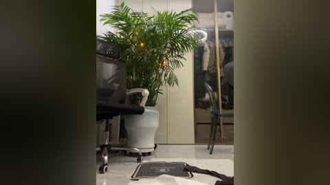 Video of a modern office with a black ergonomic chair, white plant pot, and a blurred person walking in the foreground.