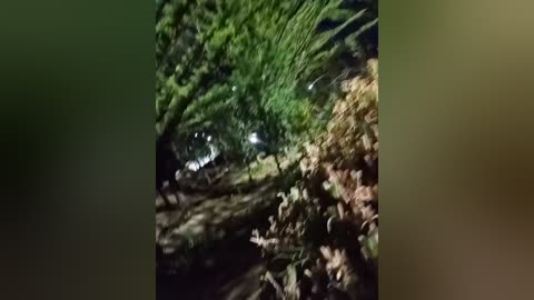 A blurry video of a dense forest at night, featuring green foliage and brown, dry leaves, with a faintly visible deer or animal moving through the underbrush. The image has a dark, muted color palette.