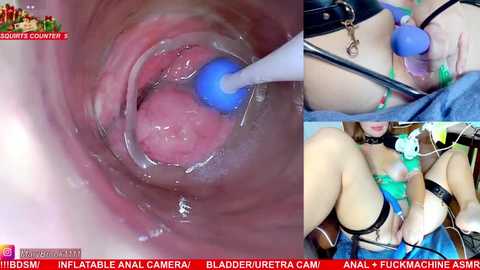 Video montage: close-up of a blue-tipped anal plug being inserted into a pink, moist rectum; a woman in bondage gear with a gag and blue panties; a woman with small breasts and a blue dildo, all captioned with \"Anal Camera\" and \"BladePirateCam.\