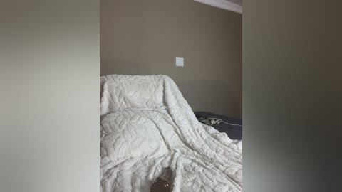 Video of a beige room with a rumpled, white quilted blanket covering a bed, a white light switch on the wall, and a dark-colored pillow on the left.
