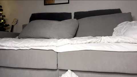 Video of a minimalist living room with a gray sofa, two gray pillows, and a white blanket on the left. A guitar rests on a stand to the left, and a small Christmas tree with ornaments is visible in the background.