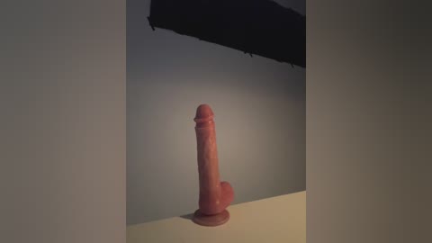 18_salo free recording from 2025-12-17 00:01:00