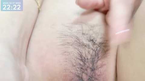 _shinon_ free recording from 2025-12-17 00:20:00