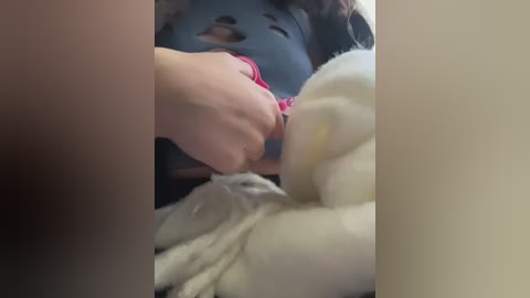 ballerinacappuccino_ free recording from 2025-12-17 00:01:00