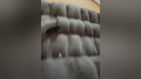 bambi_lu free recording from 2025-12-17 00:20:00