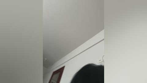 cecilia0o free recording from 2025-12-17 00:01:00