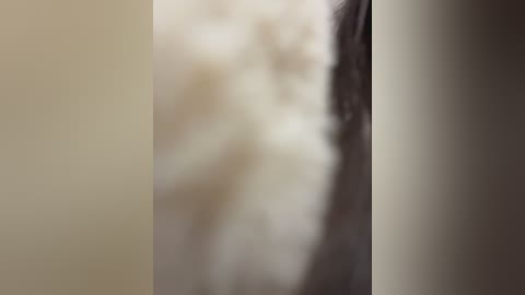 chloe__moon free recording from 2025-12-17 00:20:00