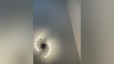 nikamur free recording from 2025-12-17 00:01:00