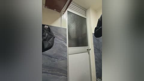 Video of a narrow, dimly-lit bathroom with tiled walls, a frosted glass door, and a black bag hanging from the ceiling. The room has a utilitarian feel with no visible furniture.