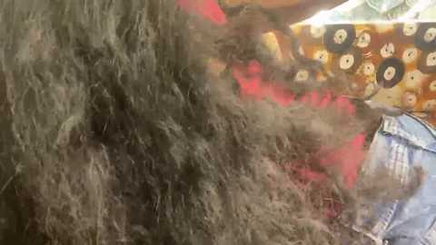 shuhana_ free recording from 2025-12-17 00:01:00