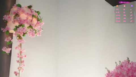 Video of a woman's head adorned with cascading pink cherry blossoms, set against a plain white wall. The background features a calendar with colorful text and symbols.