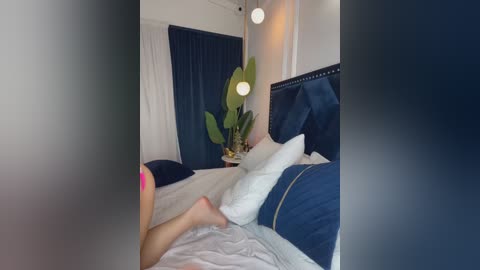 Video of a modern bedroom with a dark blue upholstered headboard, white pillows, a green leafy plant, and white curtains.
