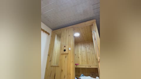 Video of a cozy, rustic wooden bunk bed in a small room with beige walls and a ceiling. The bed has a simple design with a narrow ladder and a single light bulb.