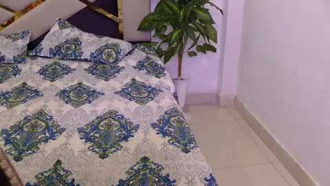 A video of a neatly made bed with a patterned white and blue duvet cover, matching pillows, and a potted plant in a corner, against a light purple wall.