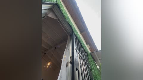 Video of a modern building with a green roof and black metal fence, featuring a textured, slightly worn exterior. The scene is captured from an elevated angle, emphasizing the architectural details and textures.