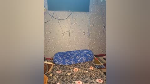 Video of a small, messy bedroom with a blue pillow, brown and white floral bedspread, and a cracked wall with water damage. The room is dimly lit.