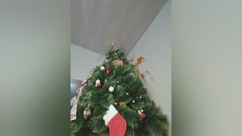 Media: A video of a green Christmas tree adorned with red and white ornaments, small figurines, and a red Santa hat, placed in a corner against a light-colored wall.